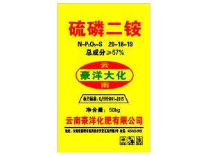 豪洋